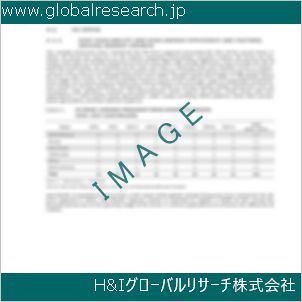グローバルリサーチ調査資料のイメージ